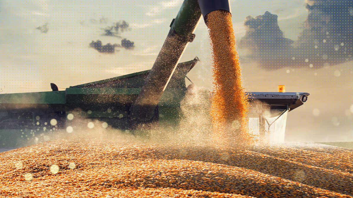 Prepping for Harvest Across the Regions