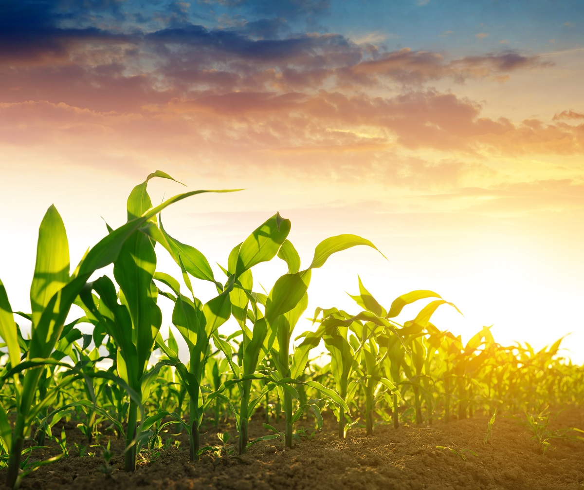 nutrien eco-harvest pilot program