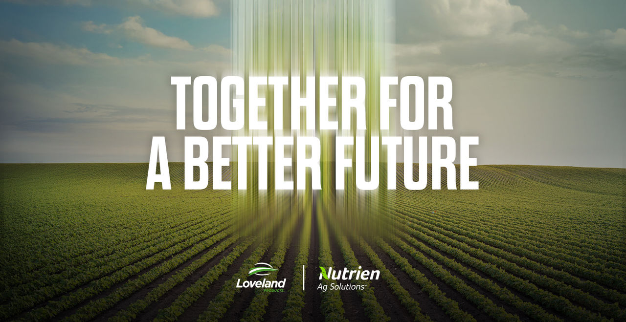 Together for better future