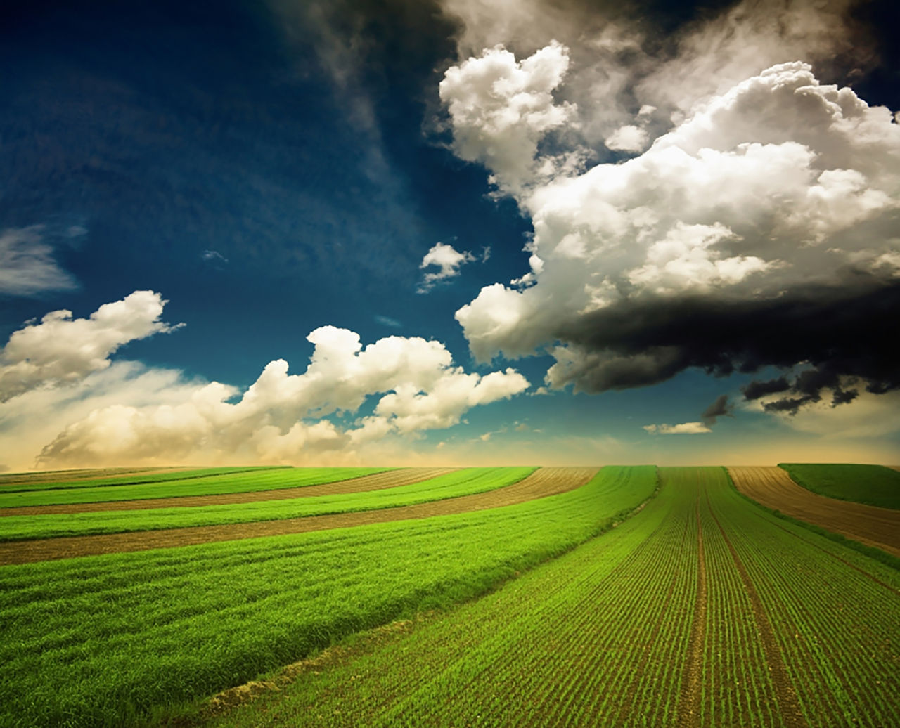 agriculture landscape with dramatic evening sky